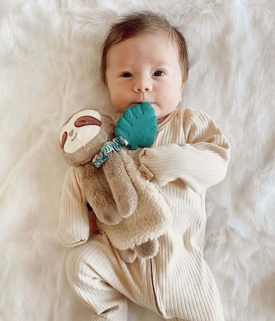 Lovey - Peyton the Sloth