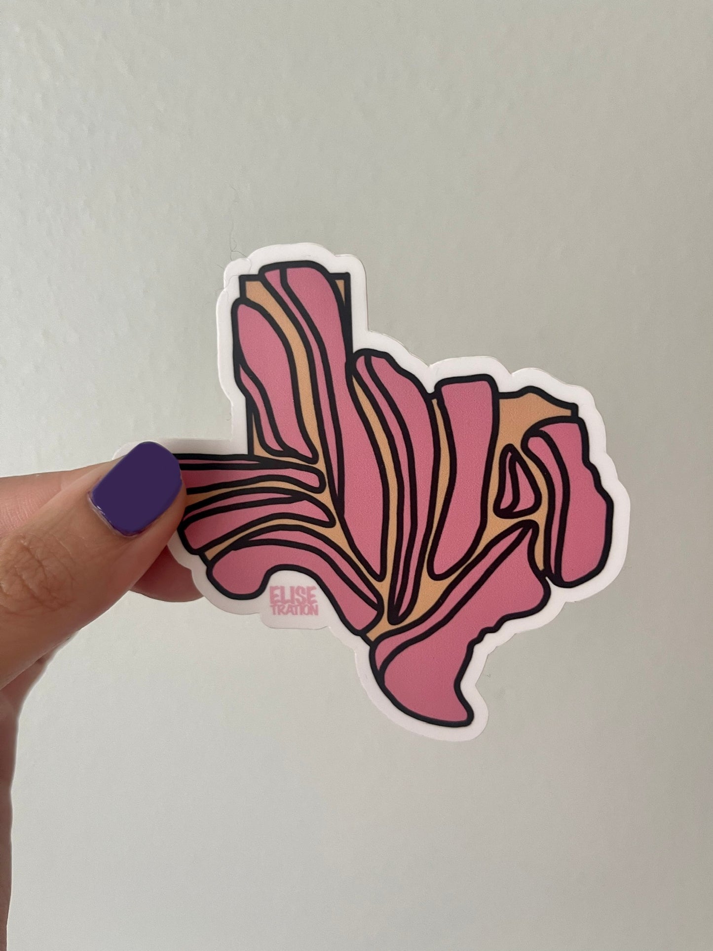 Texas Concha Sticker