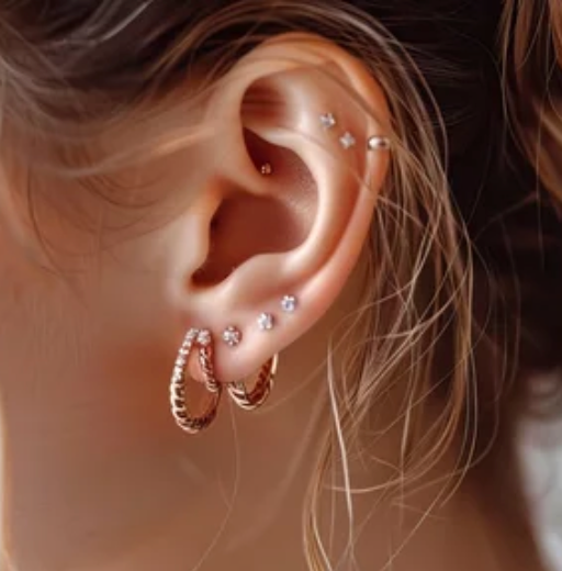Earrings