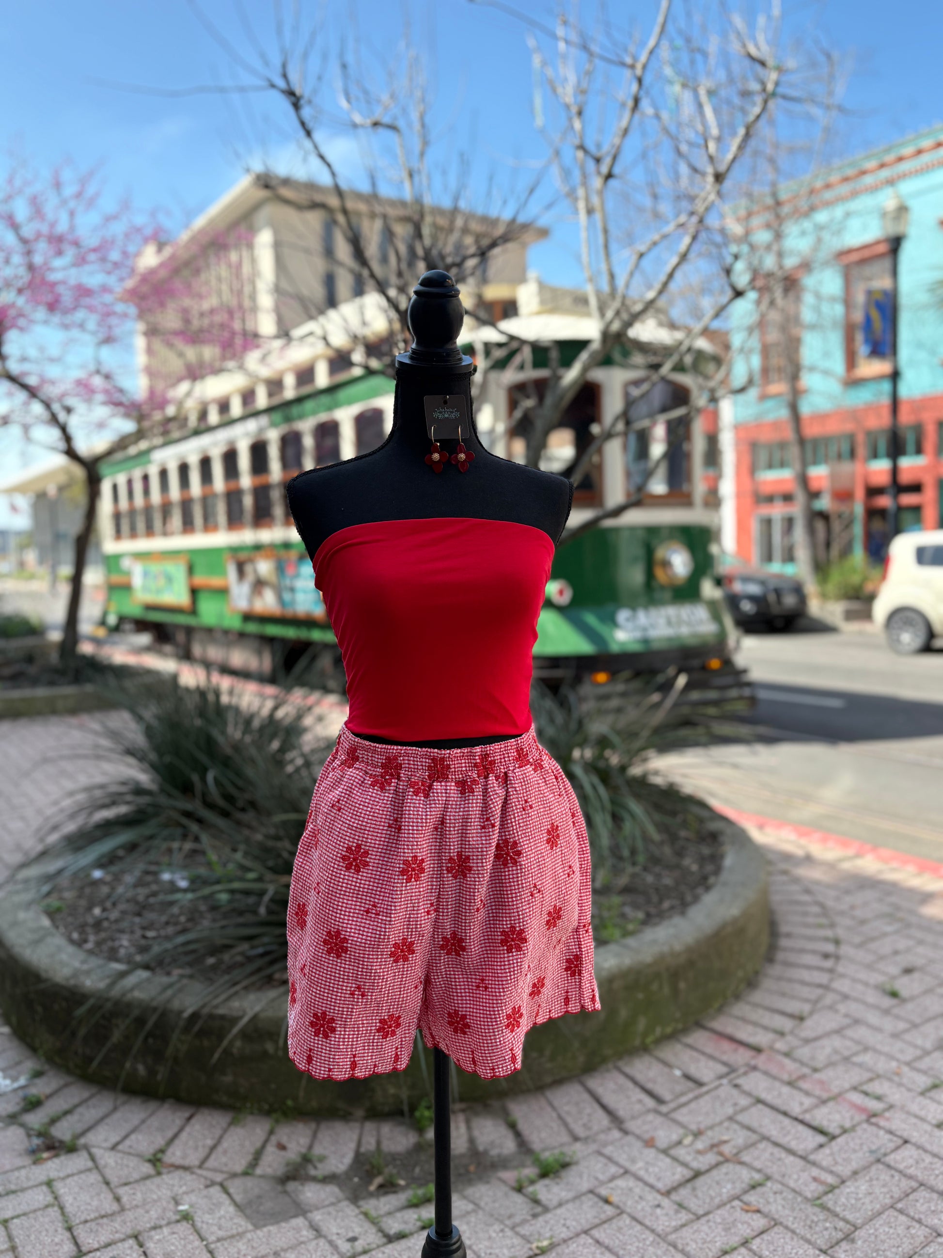 Wild Child Embroidered Shorts - Red