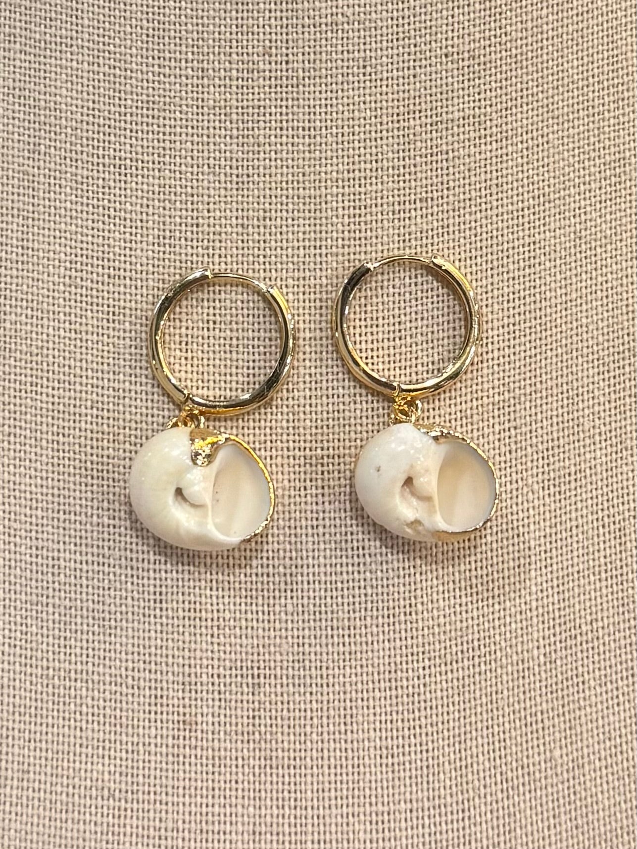 Sea Shell Hoops