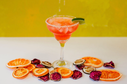 Prickly Pear Margarita Cocktail Kit